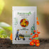 California Poppy Mix Color Flower Seeds